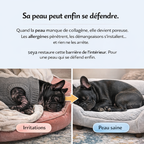 Le Collagène Allergies & Articulations SEYA